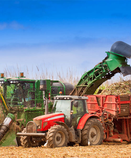 Negocios Agroindustriales